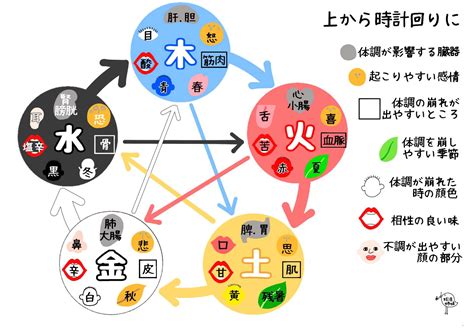 辛五行